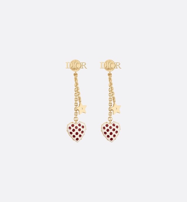 Dior Earring 04lyr255